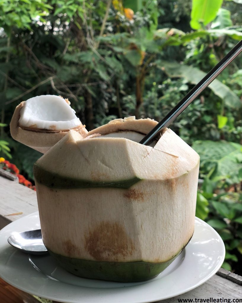 Coco fresco abierto por arriba servido en un plato y con una pajita de acero, con un fondo de plantas verdes.