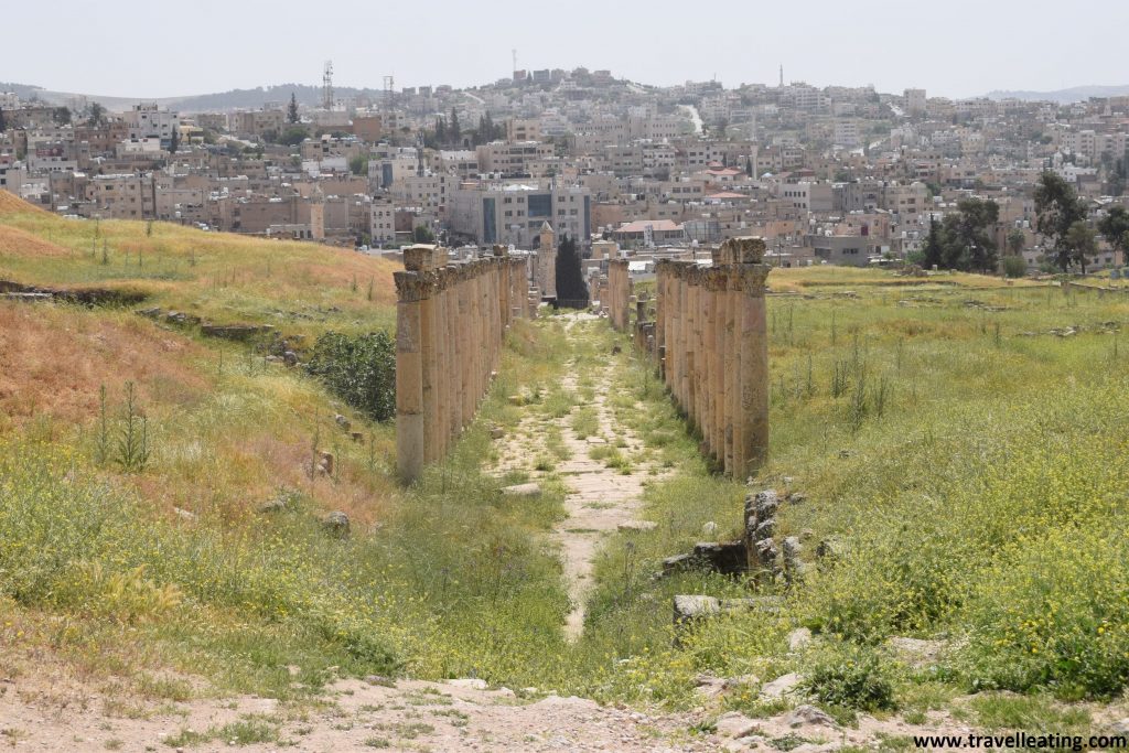 Conjunto de columnas romanas de unas ruinas que se encuentran frente a una ciudad, Jerash. Otras de las zonas que no te puedes perder al viajar a Jordania.