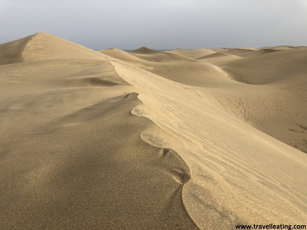 Las dunas de Maspalomas es como un pequeño desierto frente al mar, un imprescindible que ver en Gran Canaria.