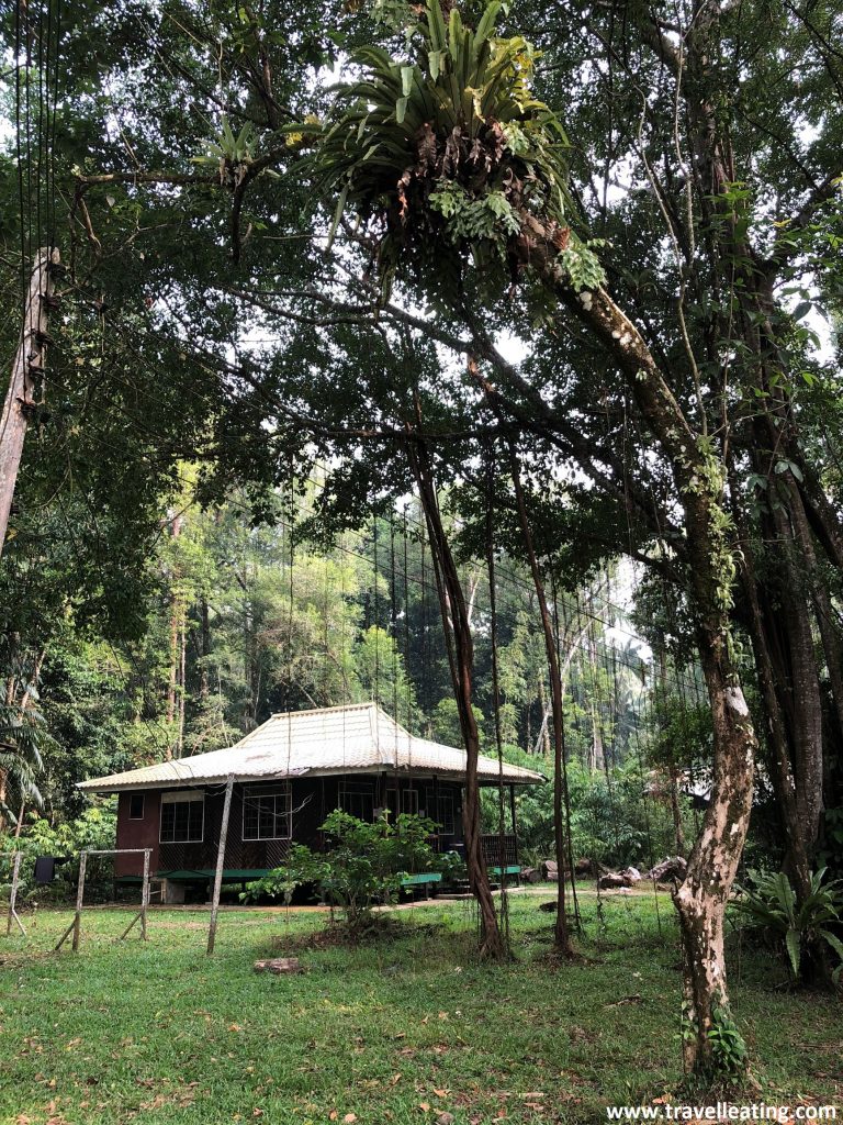 Alojamiento en el Parque Nacional de Bako, Borneo.