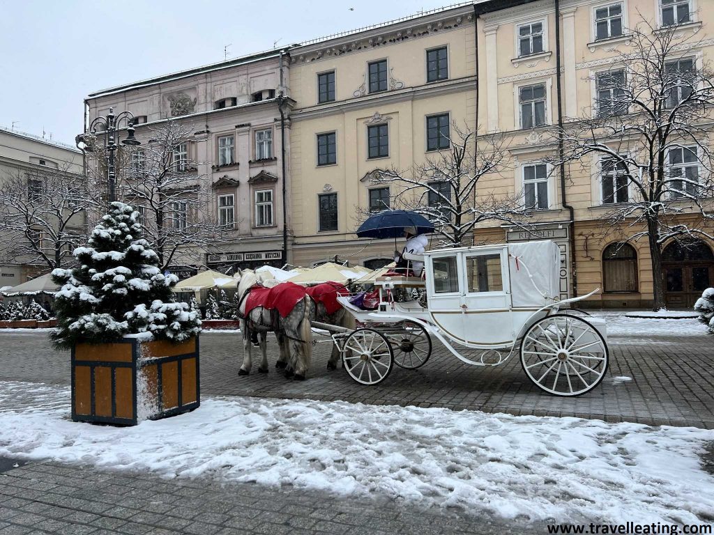 Los carros de caballos son todavía (lamentablemente) muy típicos en Cracovia.