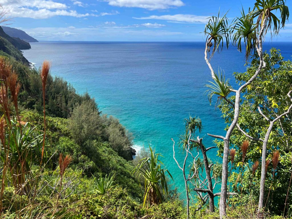 Primer tramo común entre la ruta Kalalau y la Hanakapiai Falls Trail