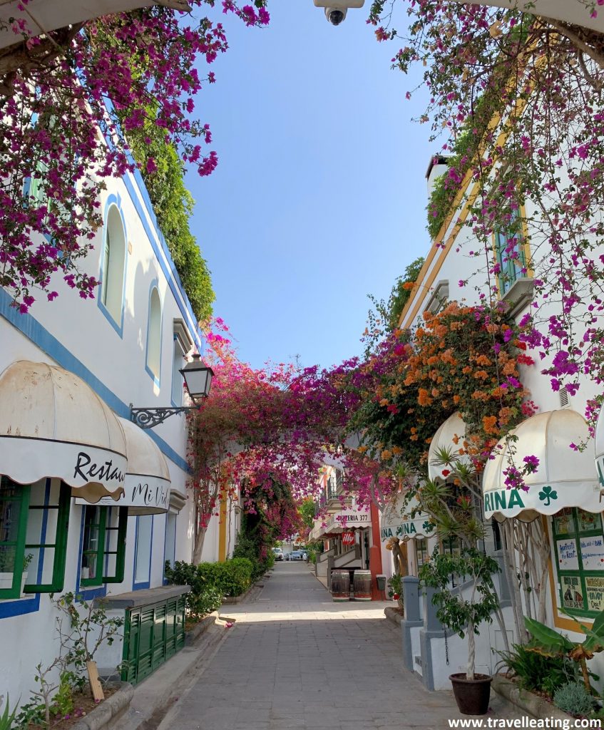 Precioso pueblo blanco con colores y buganvillas en las fachadas de sus casas. Uno de los pueblos con más encanto de Gran Canaria y un imprescindible que ver en la isla.