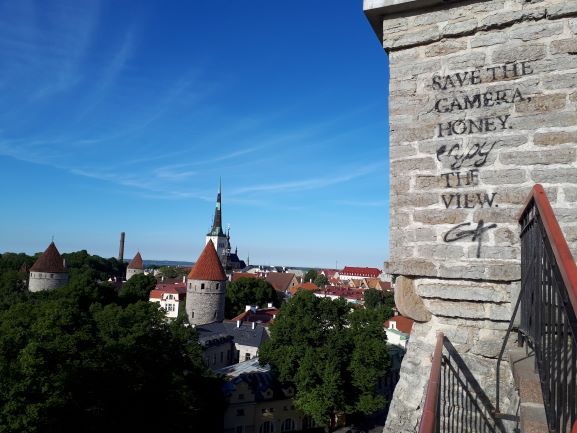 Vistas de la ciudad de Tallin desde uno de sus mejores miradores. Los campanarios de las diferentes iglesias sobresalen y le dan cierto colorido.