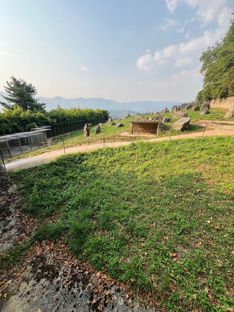 Karpin Fauna, un centro de rescate que hace una labor brutal. Visitarlo es una de las mejores cosas que ver y hacer en el Valle de Carranza.