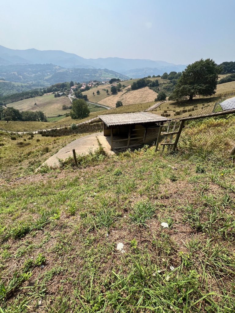 Instalaciones del Karpin Fauna, un centro de rescate situado en la montaña, en el Valle de Carranza (País Vasco).