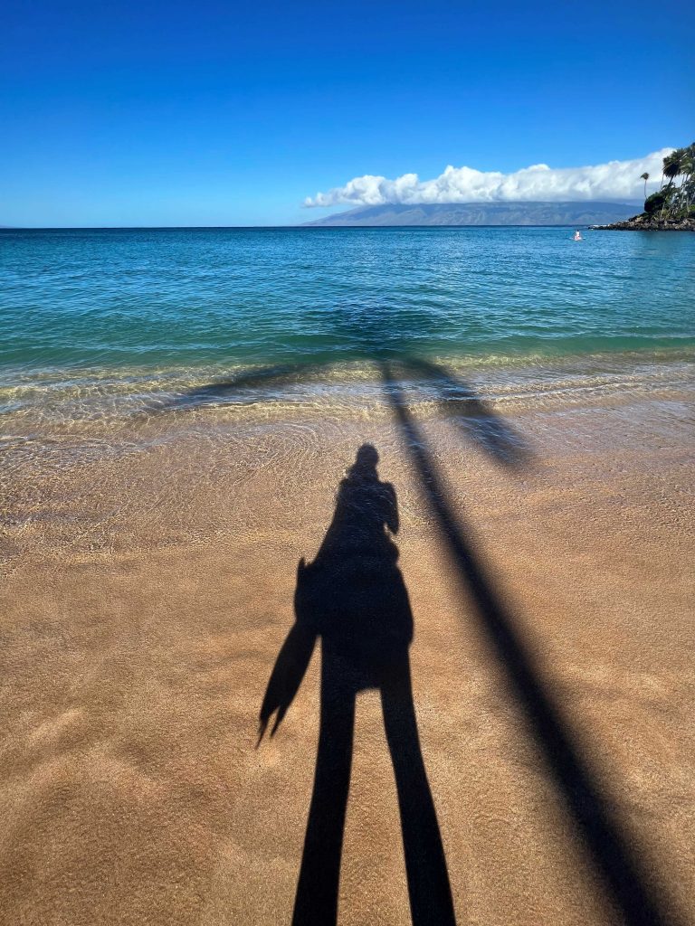 Imagen de la sombra de una chica y una palmera encima de la orilla de una playa de aguas turquesas