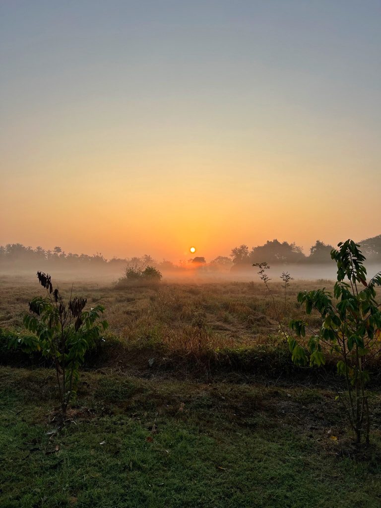 El Nirvaan Safari es uno de los mejores lugares en los que alojarse en Sri Lanka