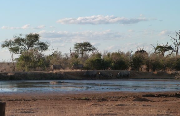 Abrevadero delante del camp del Hlane National Park en Swazilandia (Eswatini) donde iban a beber los animales 