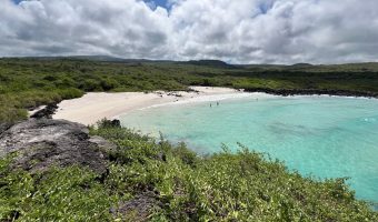 Espectacular playa de arena blanca y aguas turquesas rodeado de una vegetacion verde. Una de las playas más bonitas de Galápagos, y todo un imprescindible que ver y hacer en San Cristóbal.