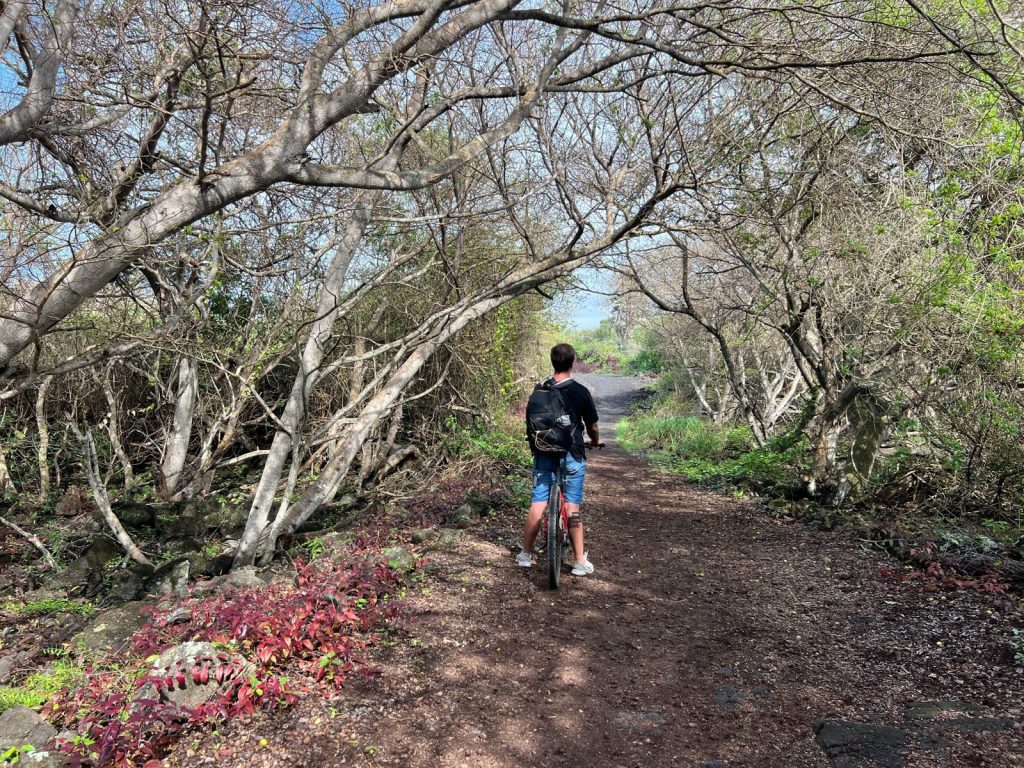 Chico en bici realizando la ruta al Muro de las Lágrimas, uno de los imprescindibles que ver y hacer en Isabela, Galápagos.