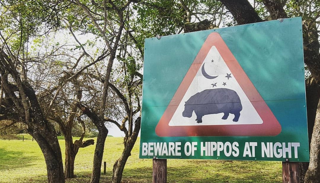 la famosa señal de tráfico de los hipopótamos de las calles de Santa Lucía, Sudáfrica.