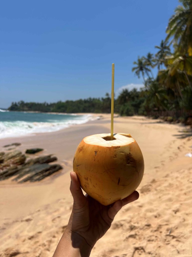 King coconut o coco fresco servido en una playa de Tangalle, Sri Lanka.