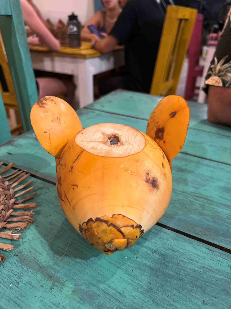 El coco fresco se le llama popularmente King Coconut en Sri Lanka, y te lo sirven con una pajita.