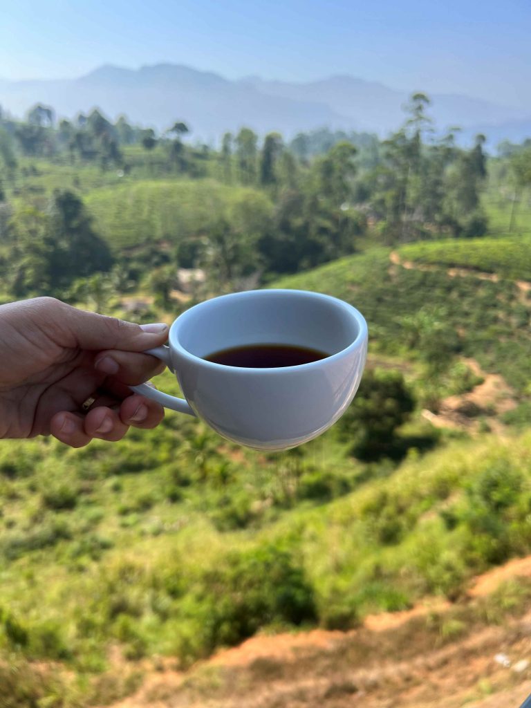 Cata de té de ceylan en unos campos de cultivo de té en Nuwara Eliya.