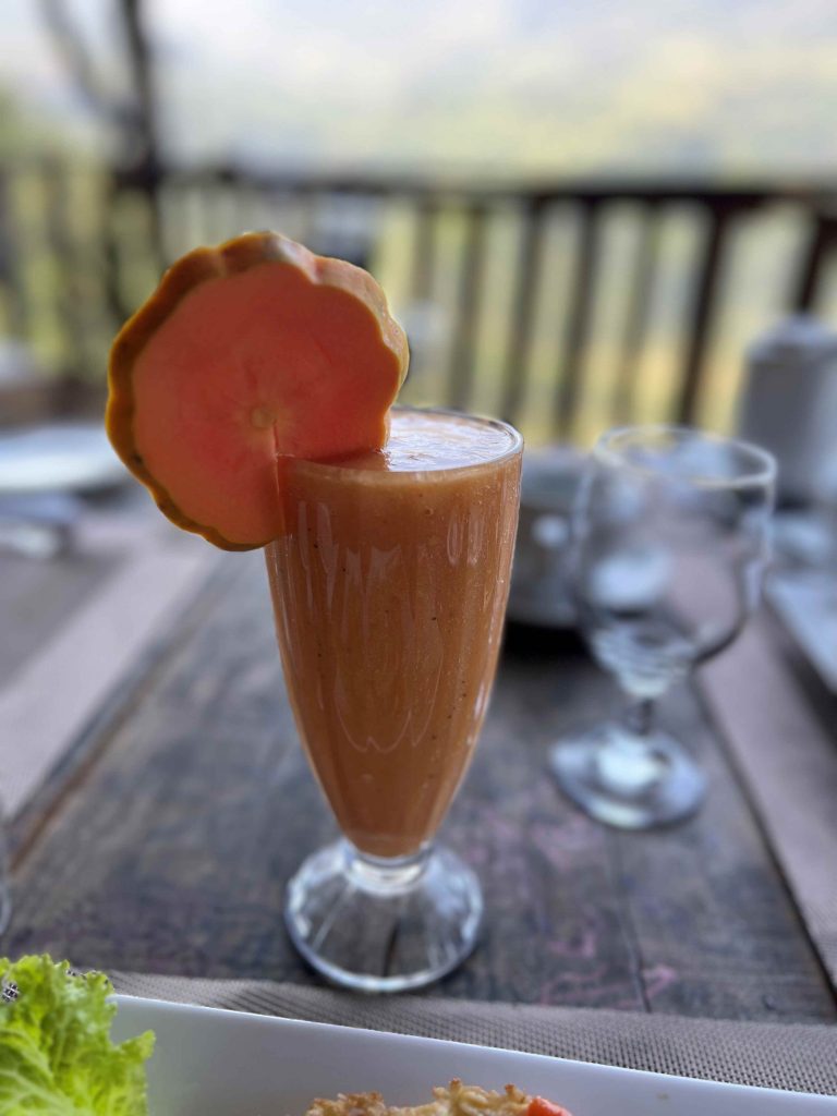 Zumo multifrutas natural, una de las bebidas más típicas de Sri Lanka.